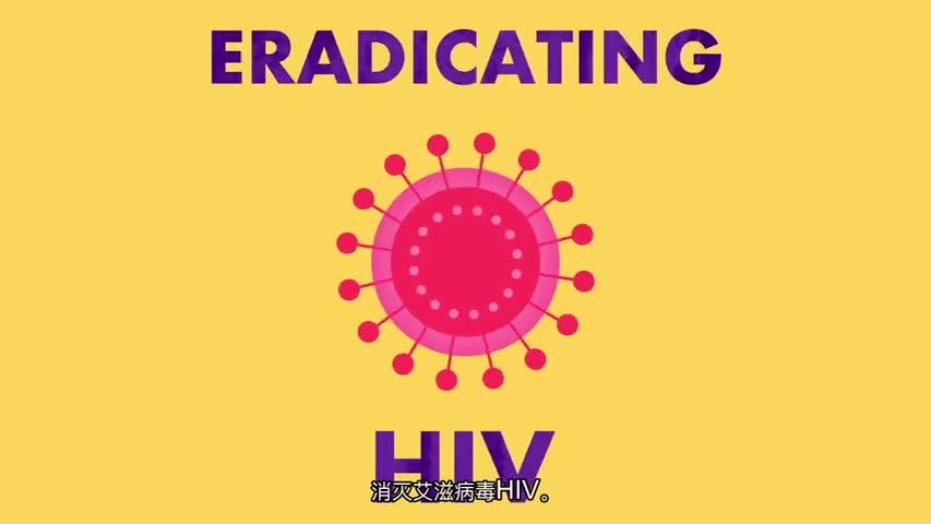 790 次播放活动致知计划·科学季 hiv生物病毒传染病阴性艾滋病