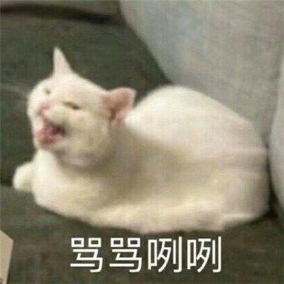 礼物搞怪沙雕文案,礼物搞怪沙雕文案短句