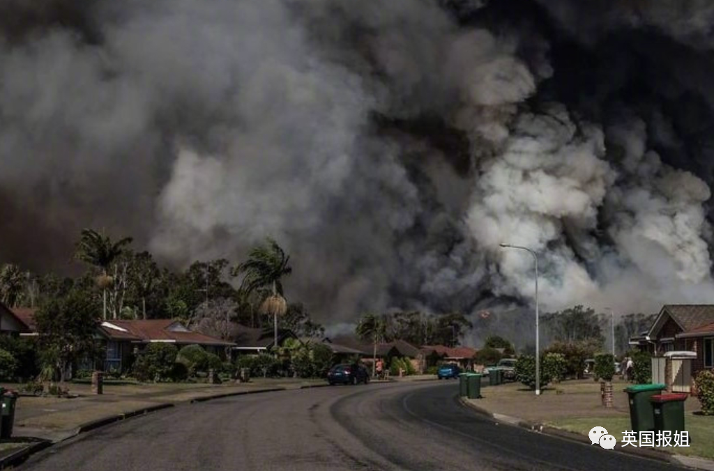 2020半年震撼回顾每天都在见证历史我们已来到最魔幻的年代