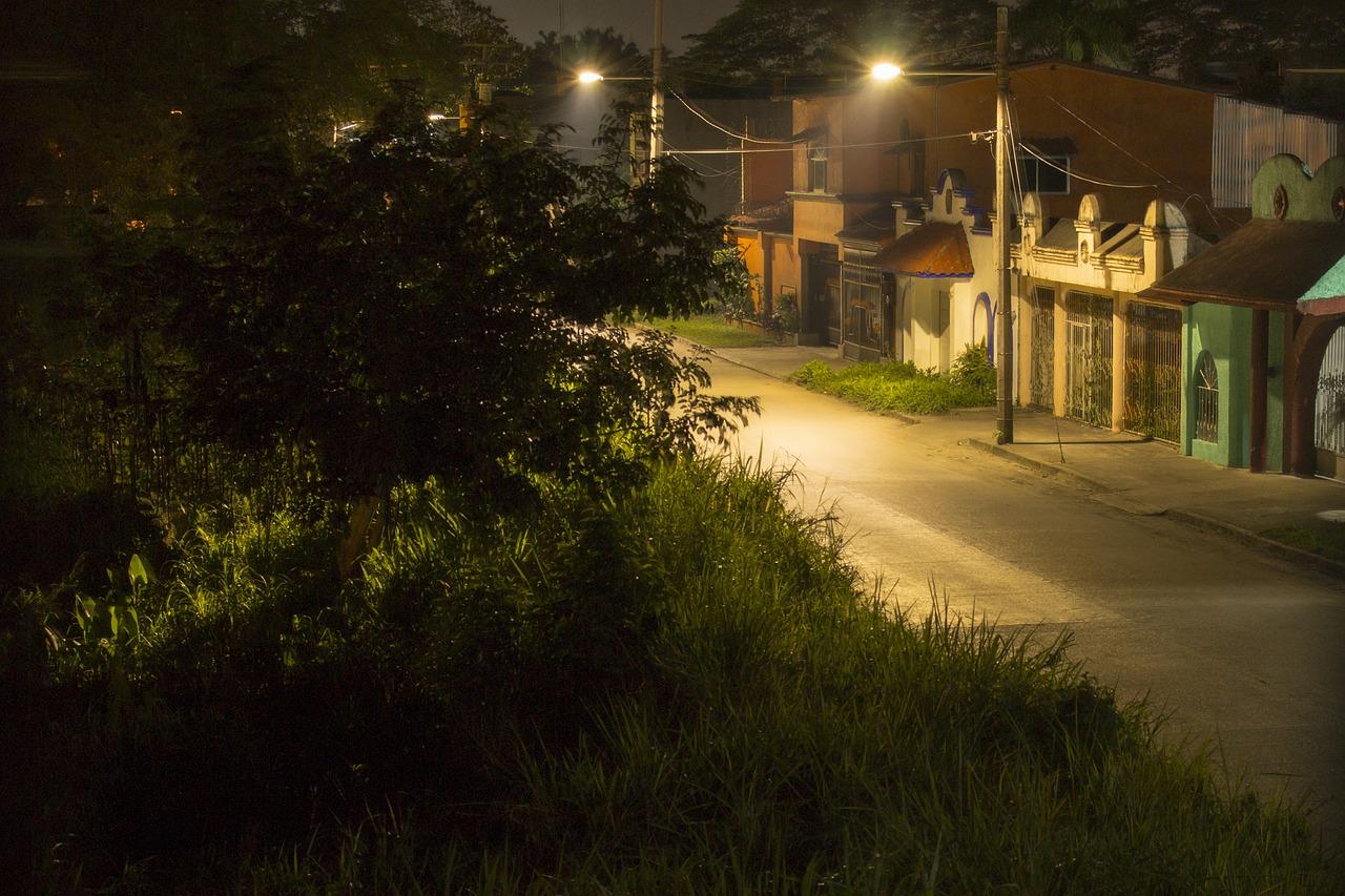 到田园小区坐什么车