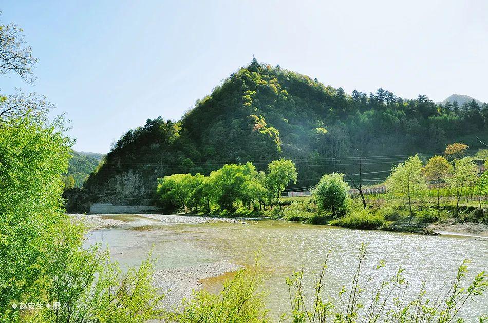 天水李子园图片