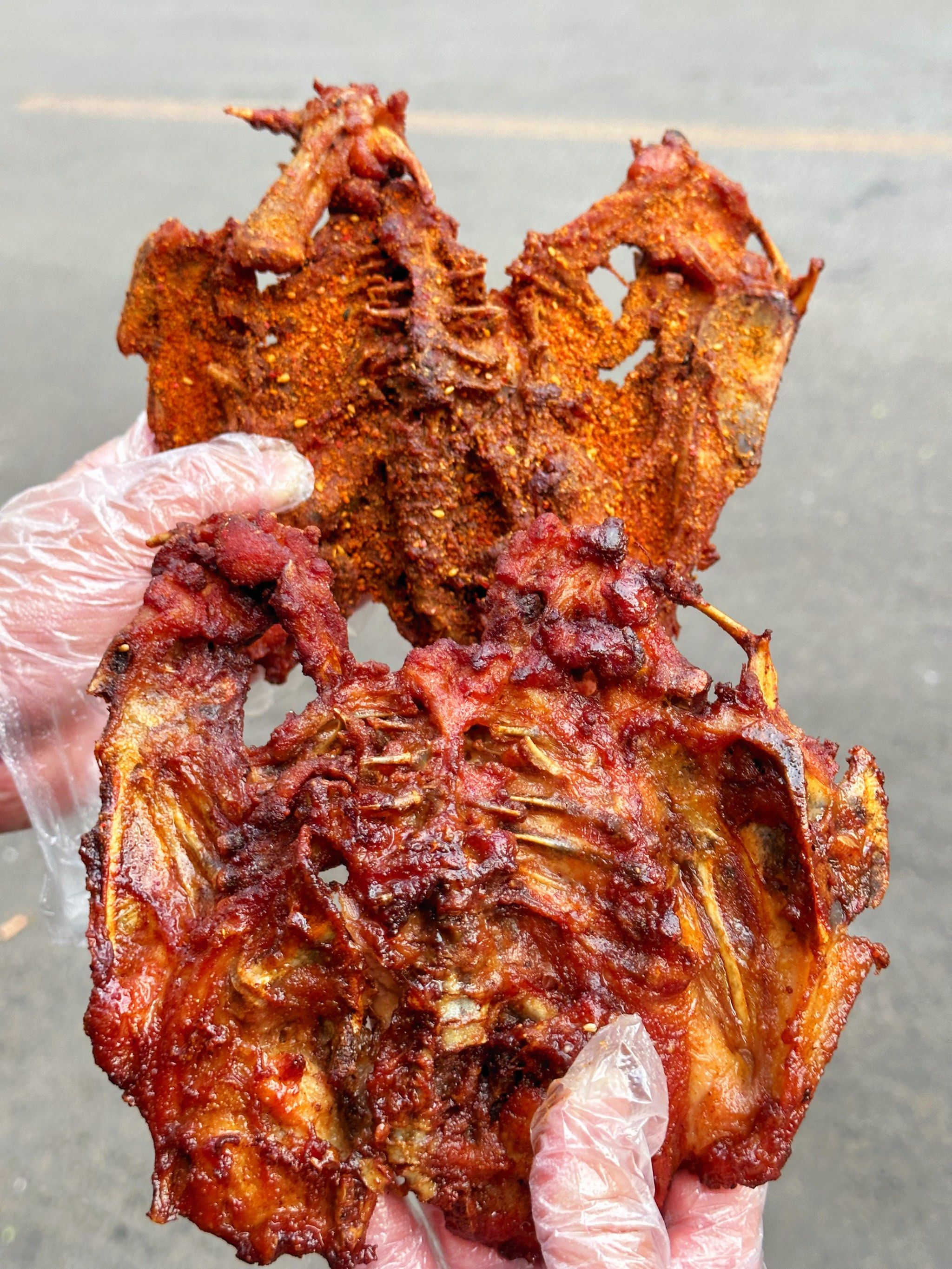 如果人类没有见过鸡，只凭一副鸡骨架，能够真实还原出鸡的样子吗？