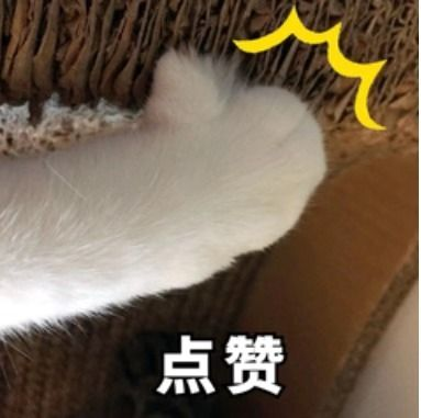 v2-3697a92823a691b91ceb4a2fc1b5db1c_b.jpg