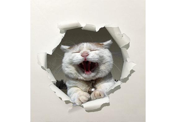 这种 人撕破纸而出的海报效果怎么用ps做出来? - 知乎