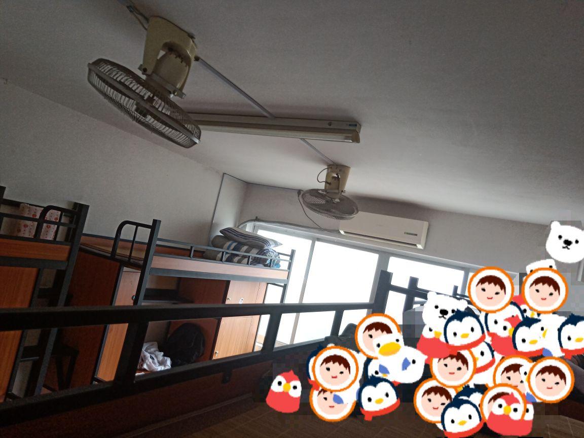 苍南中学宿舍是什么样哒