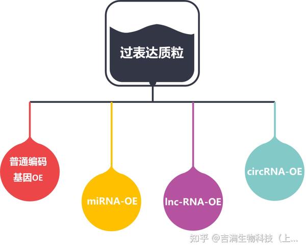 技术分享 | 基因过表达研究工具(上) - 知乎