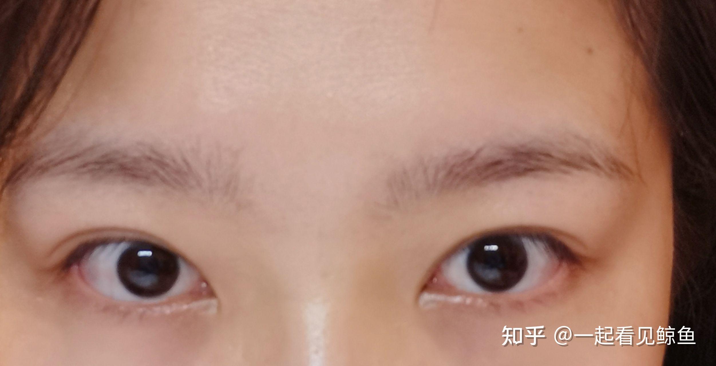 没有卧蚕是种什么体验? - 知乎