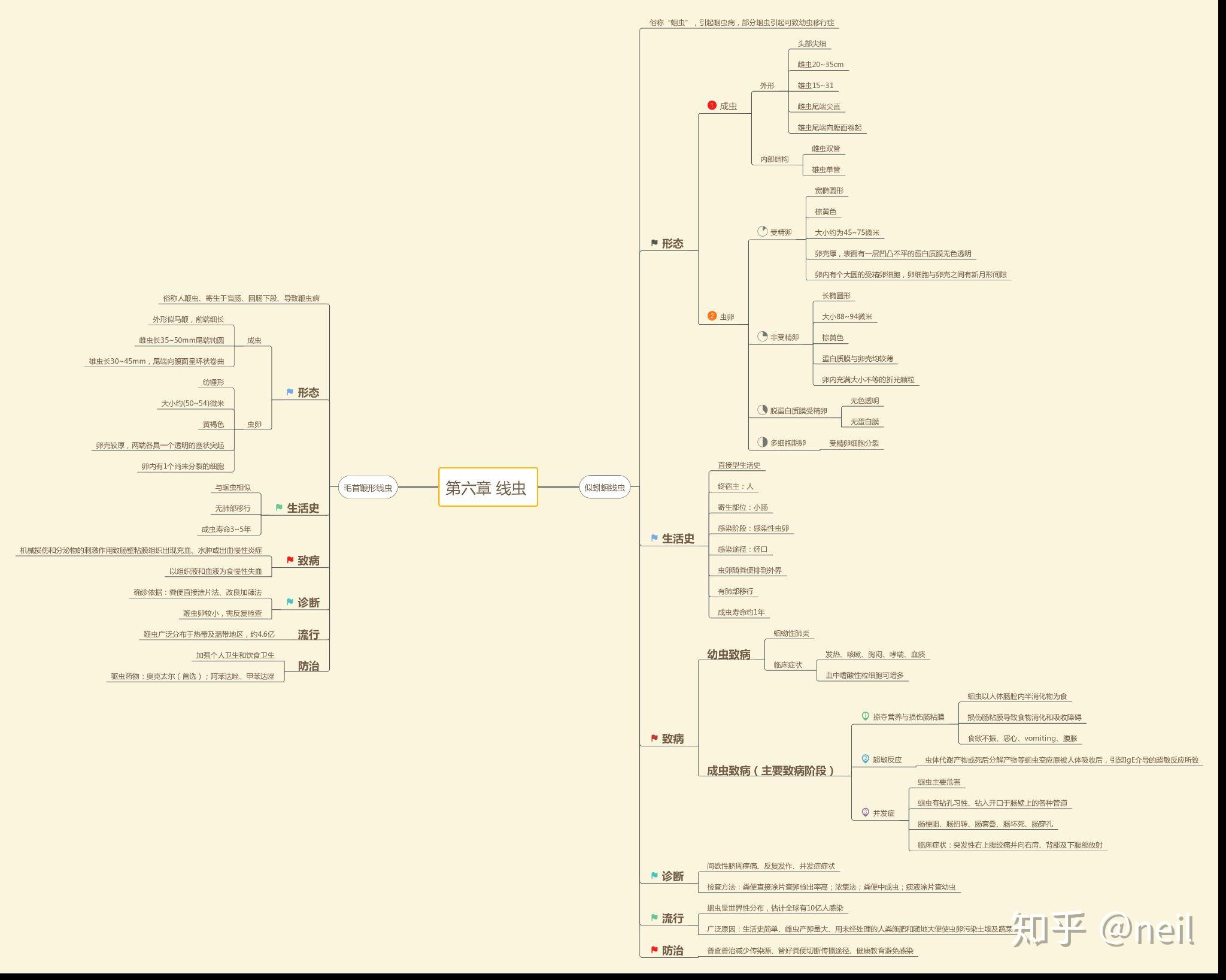 寄生虫思维导图内容图片
