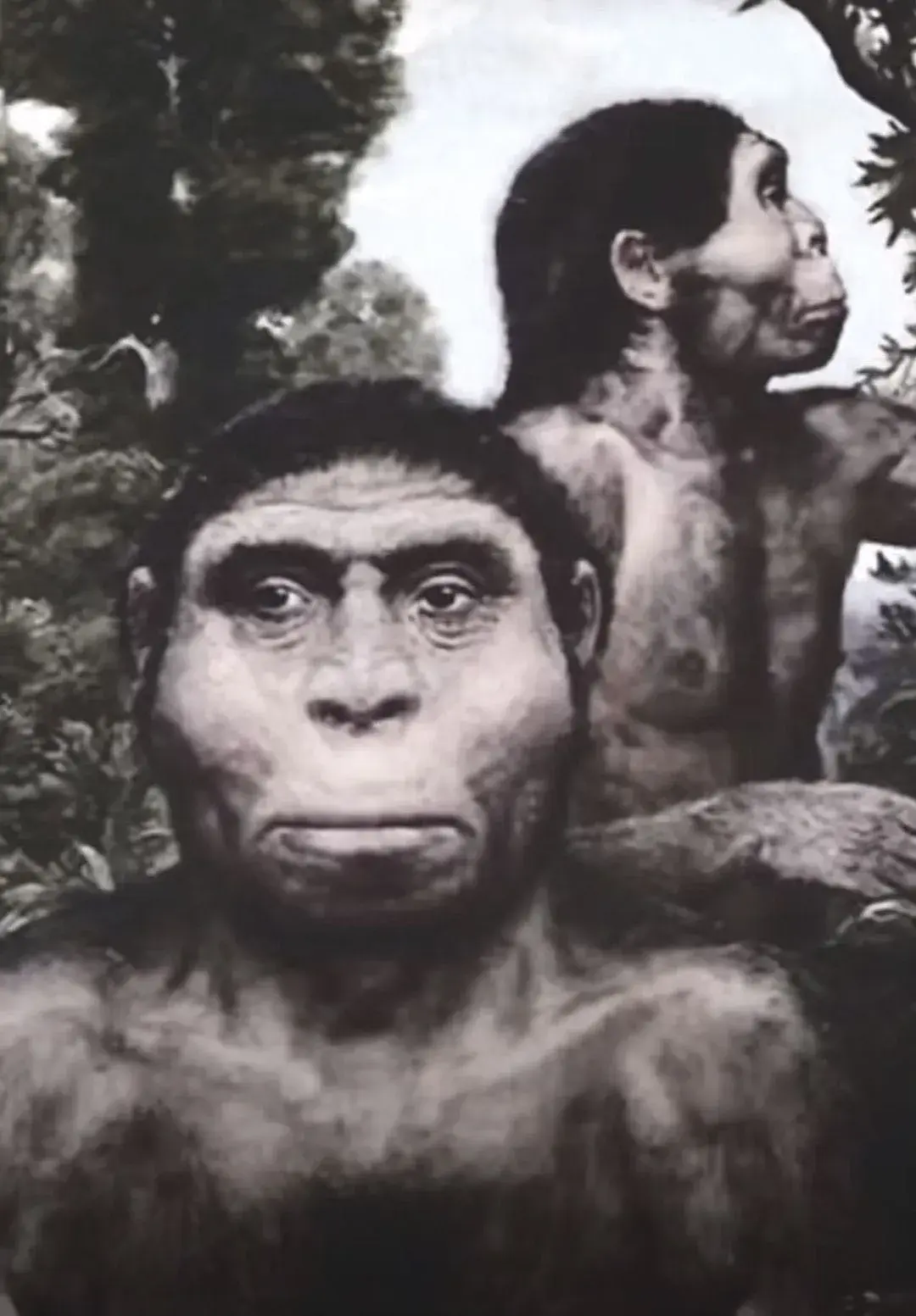 老照片文案配图这是公元前180000年那时候