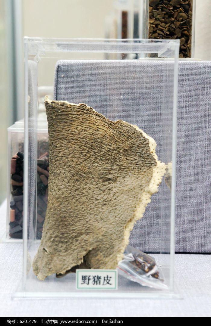 为什么有些人就喜欢拿汉服的形制说话,动不动就是