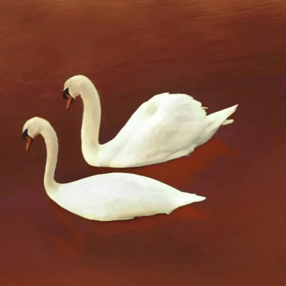 有什么又红又专或者说正能量的红色头像或壁纸推荐