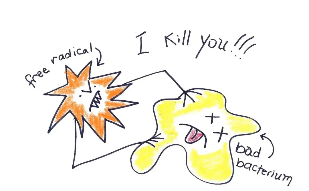 自由基对人体有什么影响 v2-36dc132e8b7a141c97592ab89e7e786c_r.jpg