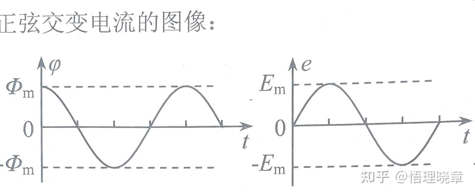 中性面垂直面图片