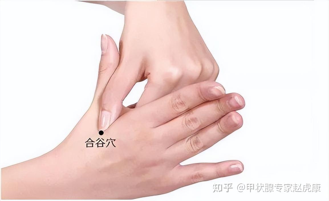 按摩这2个穴位,辅助甲状腺结节消散 - 知乎