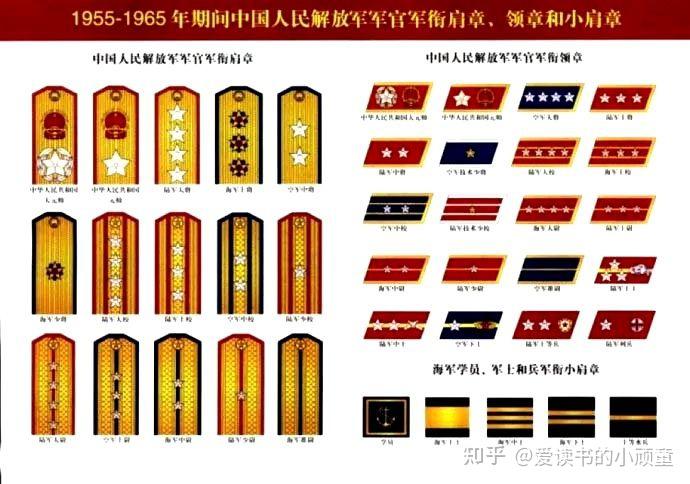 尉官4級:上尉,一級中尉,二級中尉,少尉;軍士4級:准尉,上士,中士,下士