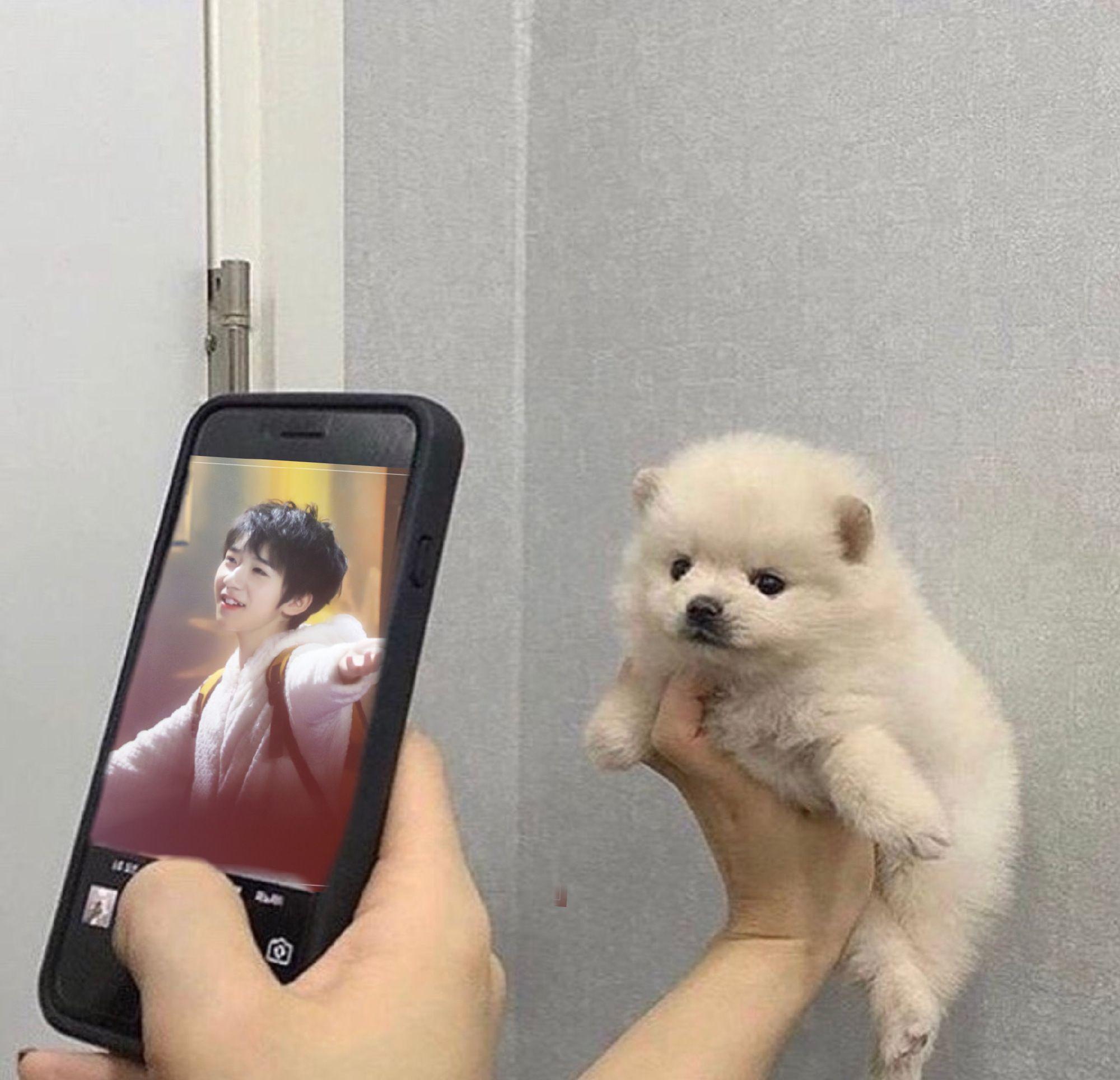 为什么总是看到一些说时代少年团的贺峻霖不好看呢?