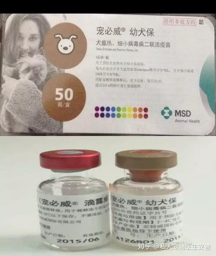 荷蘭寵必威 幼犬保 二聯:衛佳捌是目前市場上口碑較好,防護範圍更廣的