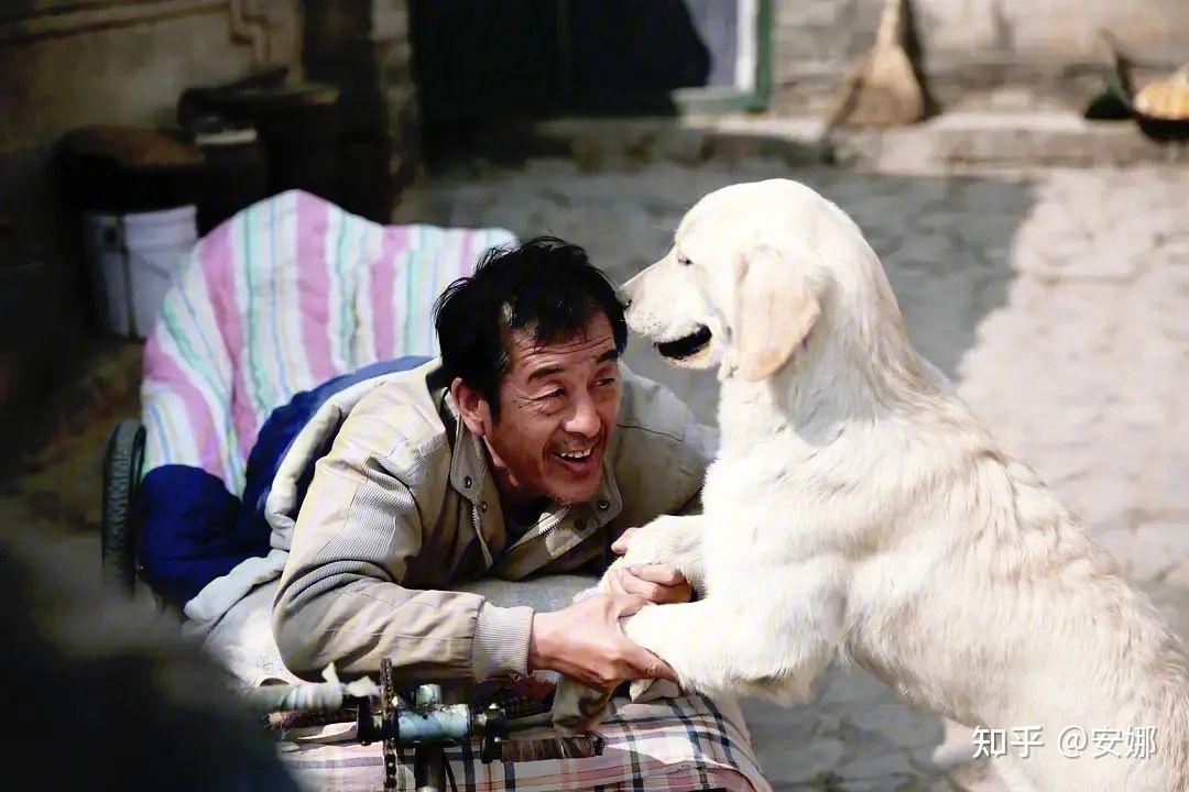 有哪些关于狗狗的影视剧推荐? - 知乎