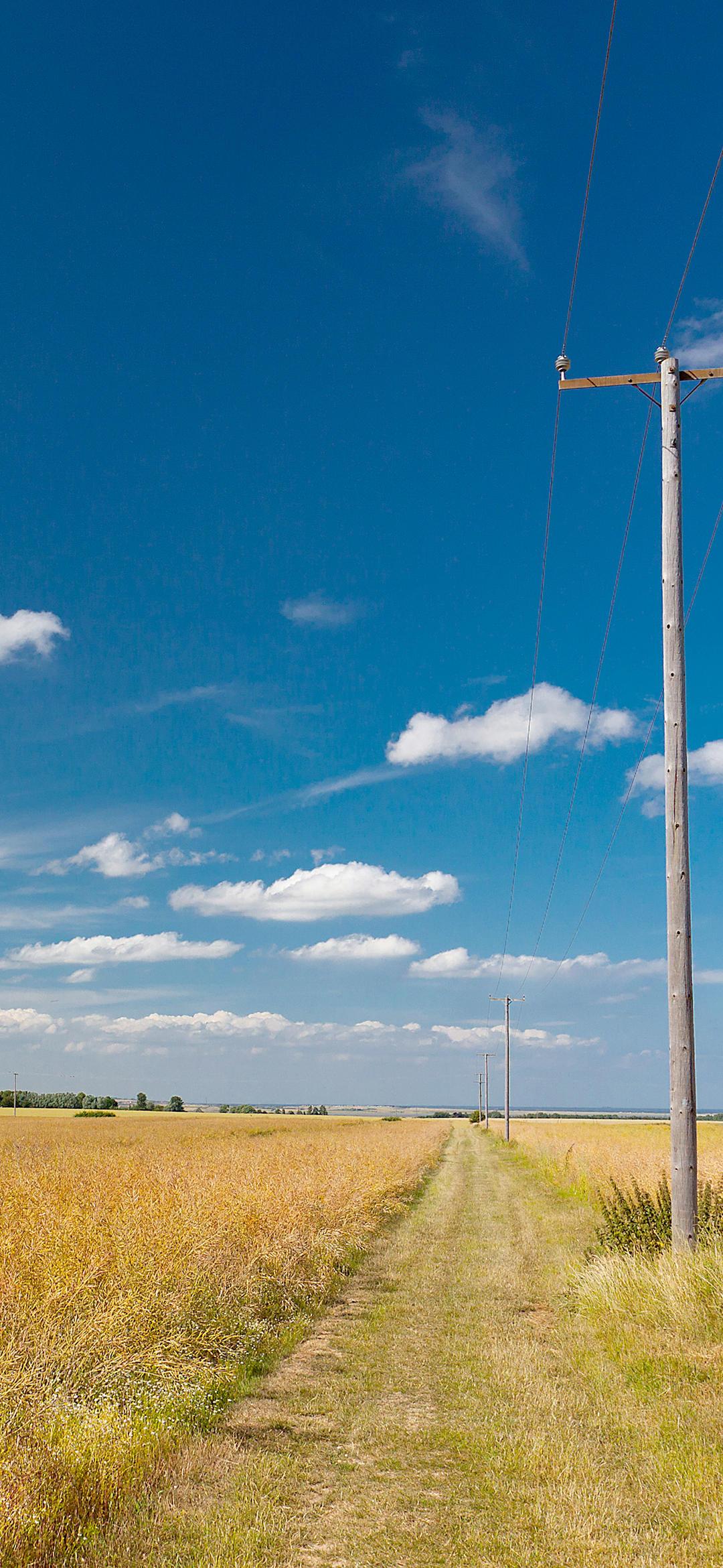 有没有好看的关于电线杆的壁纸