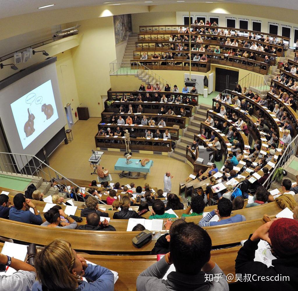 如何系统,高效地学解剖?——从德国高校教学模式获得的启示