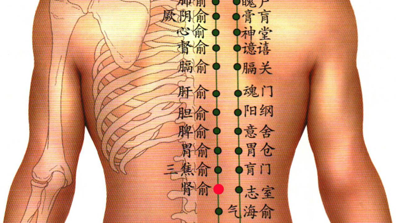 第三十节气灸之防寒健肾小雪篇