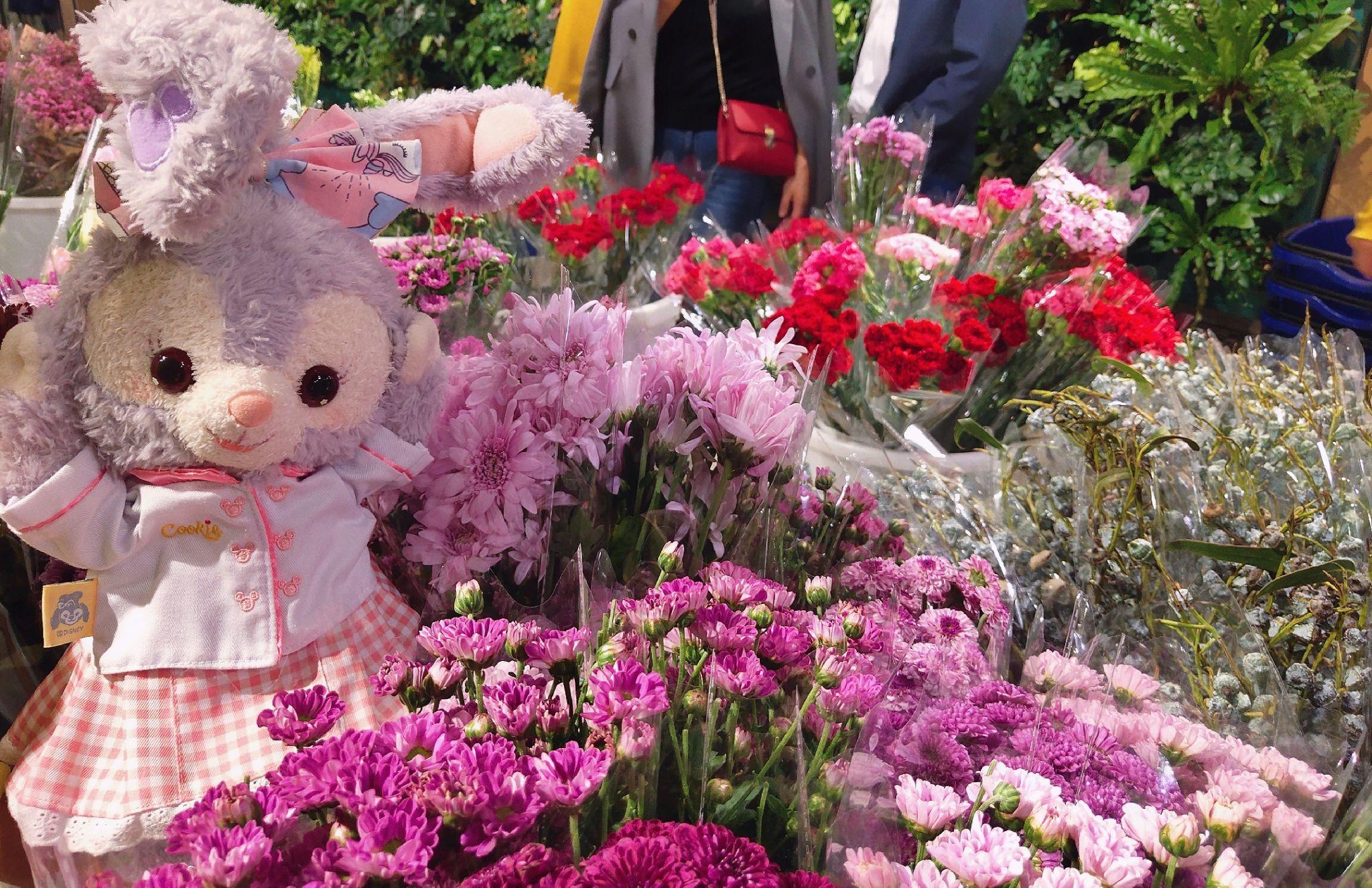 67 写回答 登录/注册 头像 手机壁纸 电脑壁纸 有没有星黛露的头像