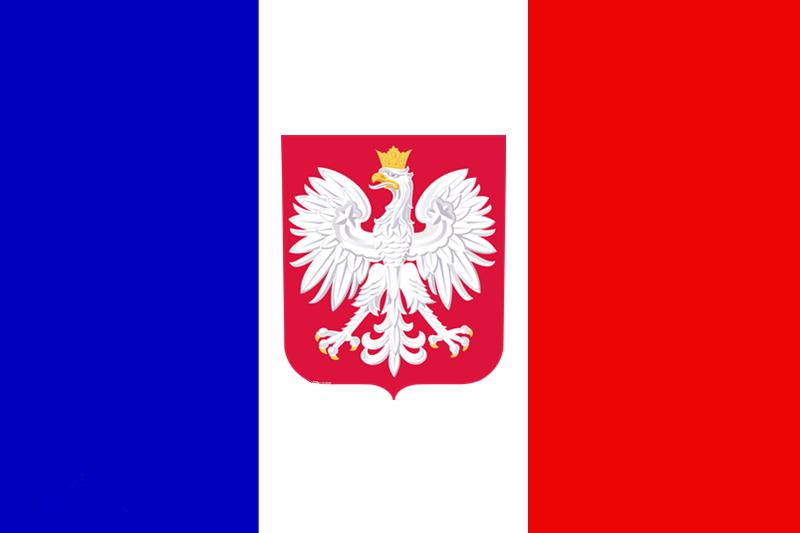 波拿巴的遗产旧大陆的战争一