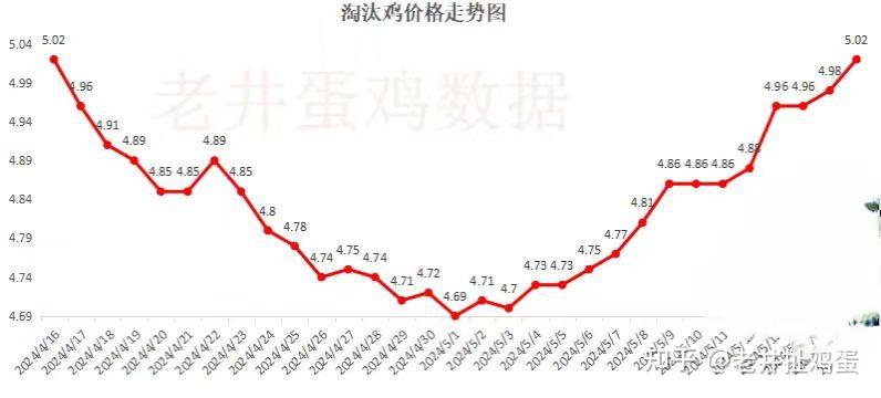 2024年5月17日老井扯鸡蛋今日播报~鸡蛋均价涨破四元已成定局,何时