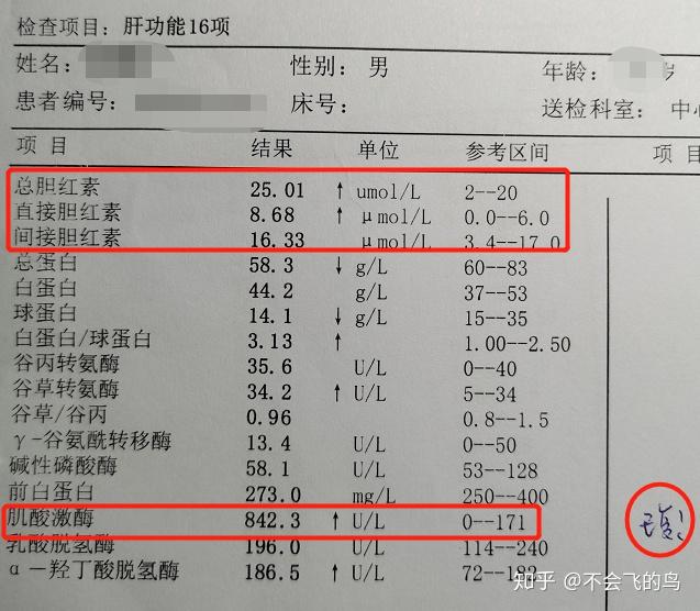 总胆红素和间接胆红素偏高