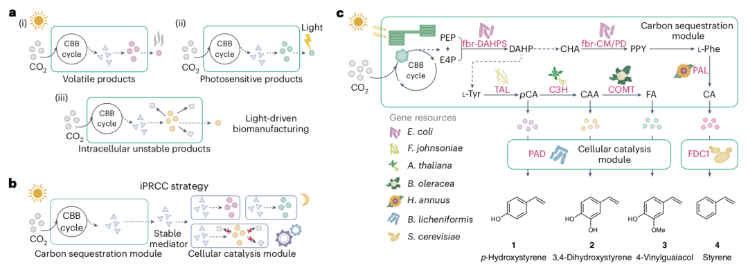 光驱动CO2生物合成挥发、不稳定、光敏分子 - 知乎
