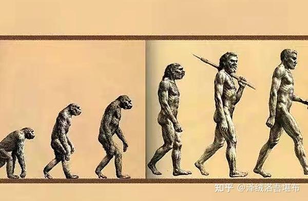 关于人类起源的故事系列 - 知乎