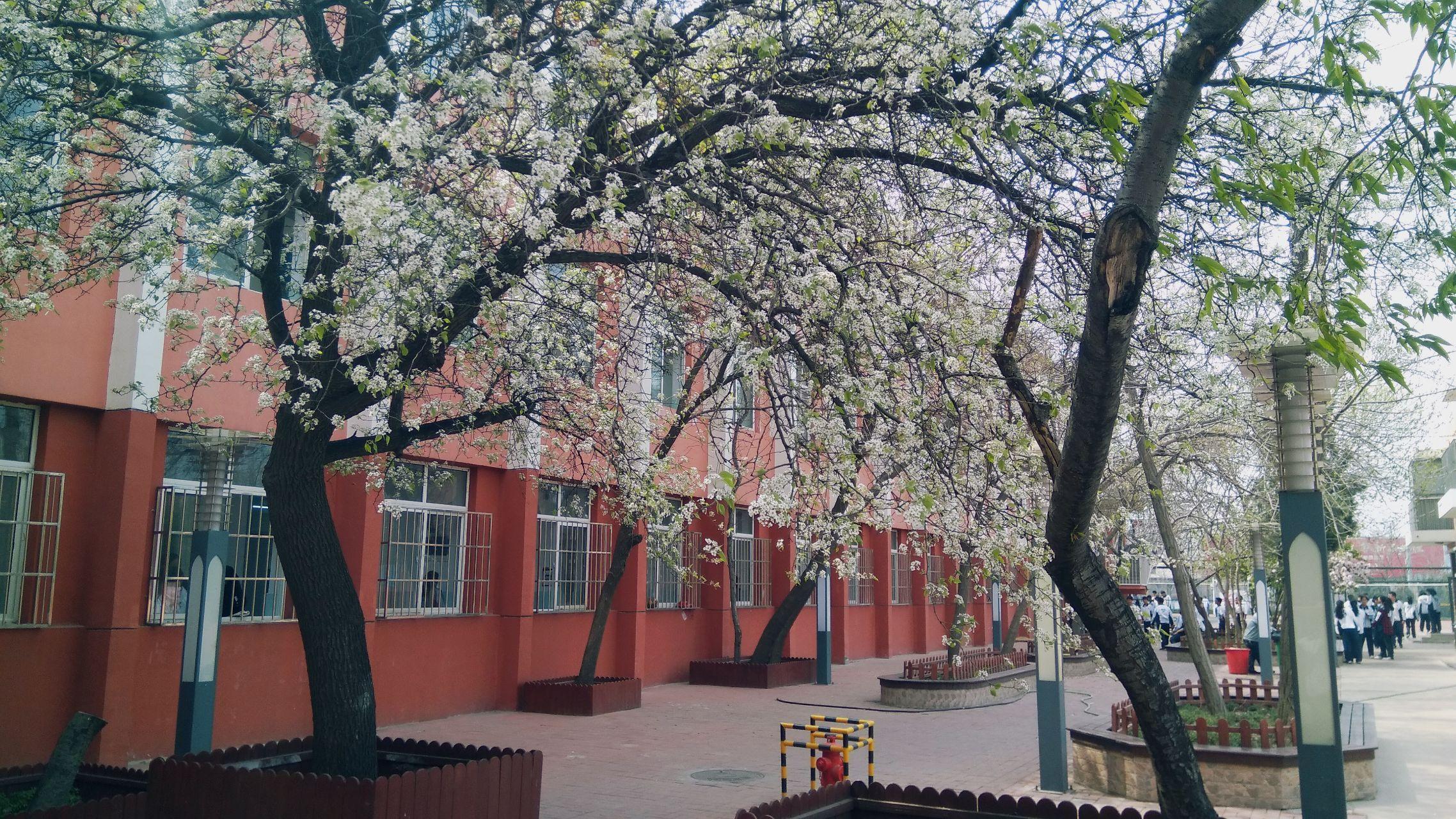 在塘沽十三中就读是一种怎样的体验