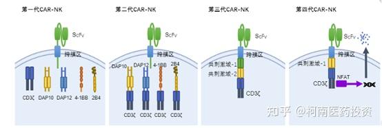 Car Nk Car Nk Adoptive Cell Transfer Therapy Act