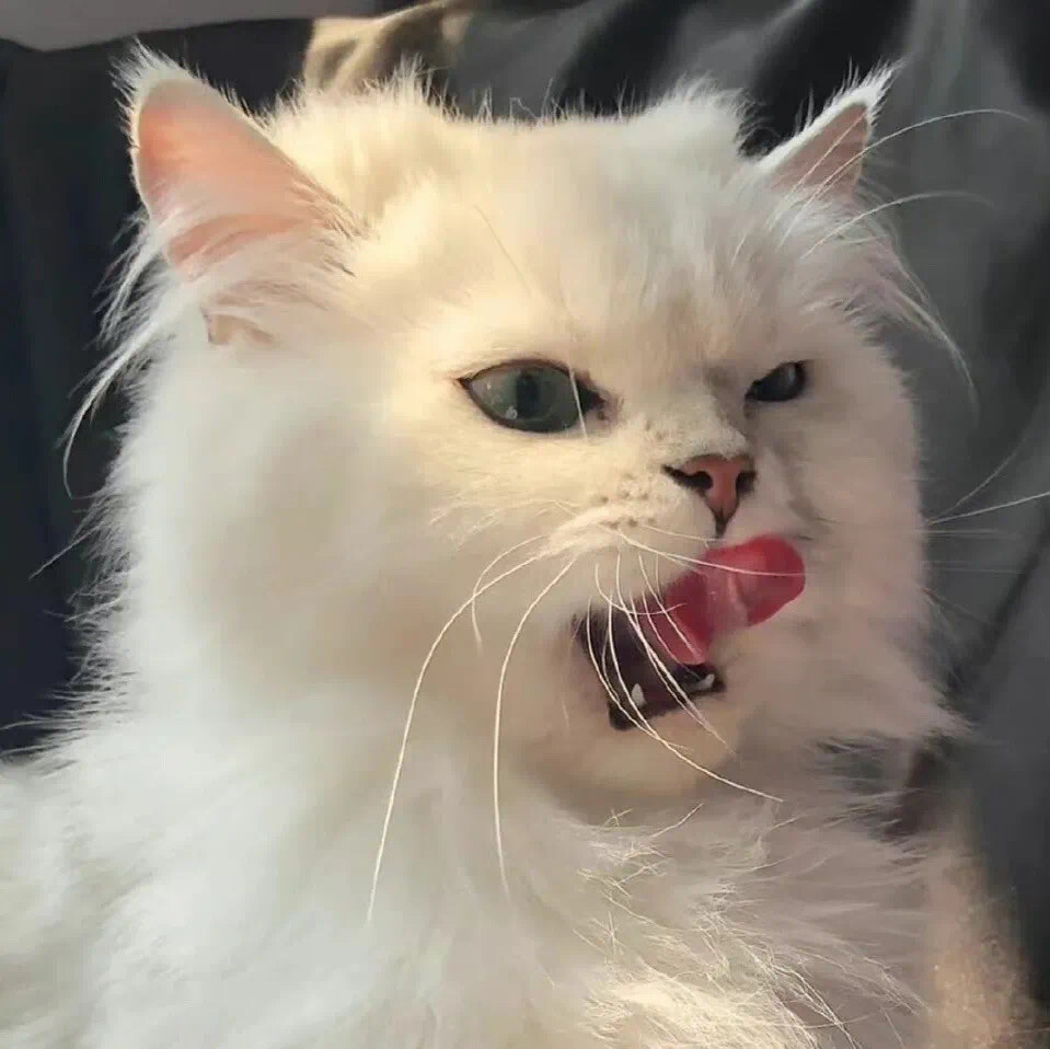 有没有用了很久舍不得换的微信头像? - 知乎