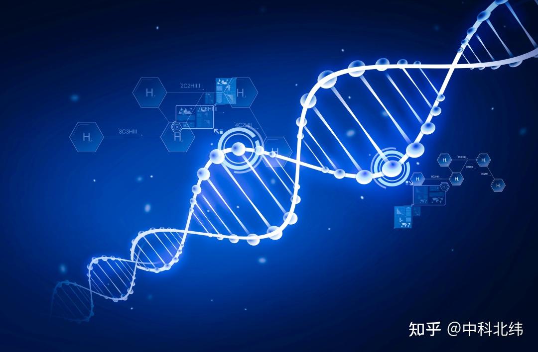 解读生命的密码—DNA - 知乎