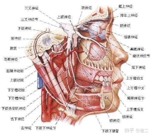 面部吸脂行业揭秘!哪种情况适合做面吸?如何挑选面吸医生提高成功率?
