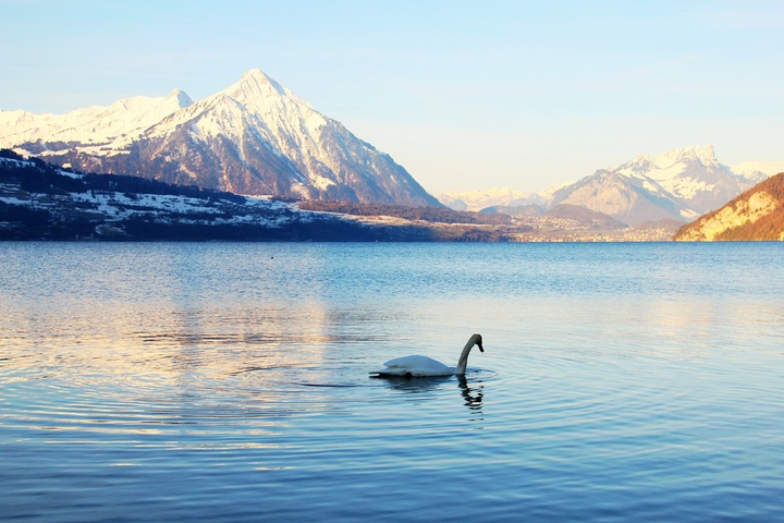 抖音里那些风景视频素材,高质量高清精美,这里统统有!