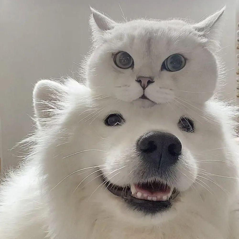 有没有适合一个人用的情头