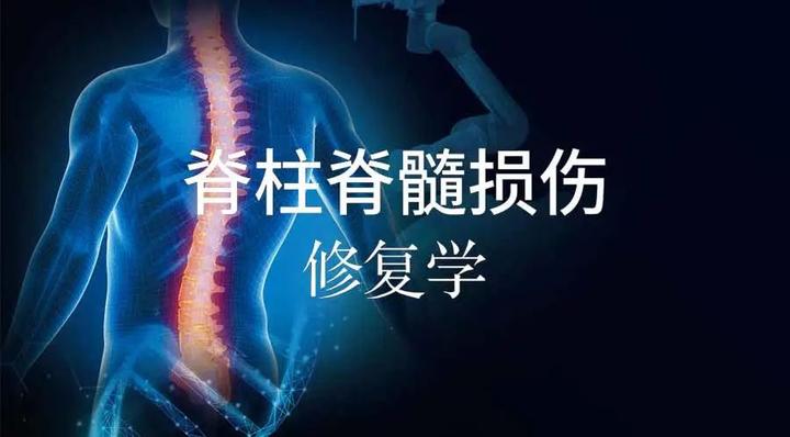 程黎明教授 脊柱脊髓损伤治疗的现代化策略 知乎