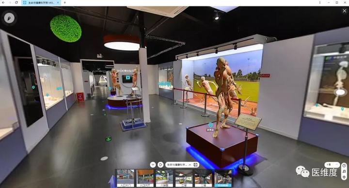 3d人体解剖app，功能强大神级app推荐 - 知乎