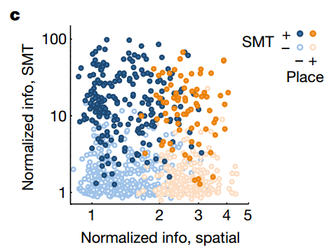 海马体在大脑什么位置图 v2-3771564e79c016241a0cfa4f5156f440_r.jpg