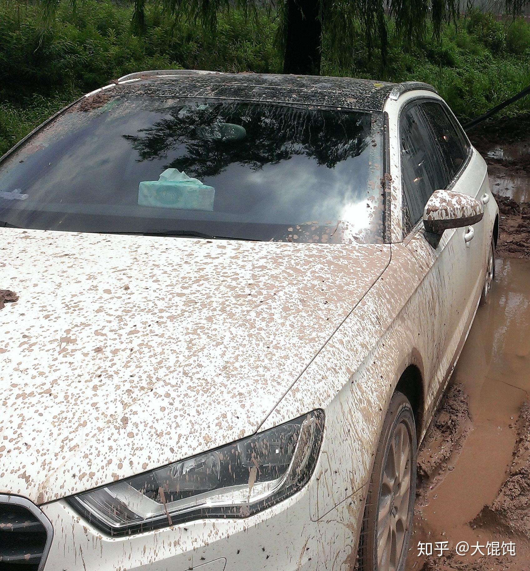 一辆车可以脏成什么样? - 知乎