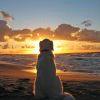 恢复出厂设置