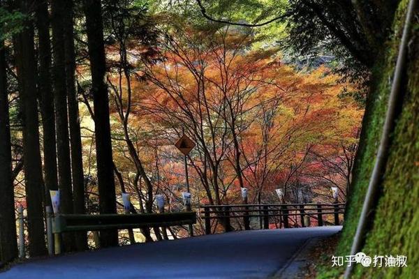 京都高雄古寺通幽 清滝溪谷红叶晚秋 知乎