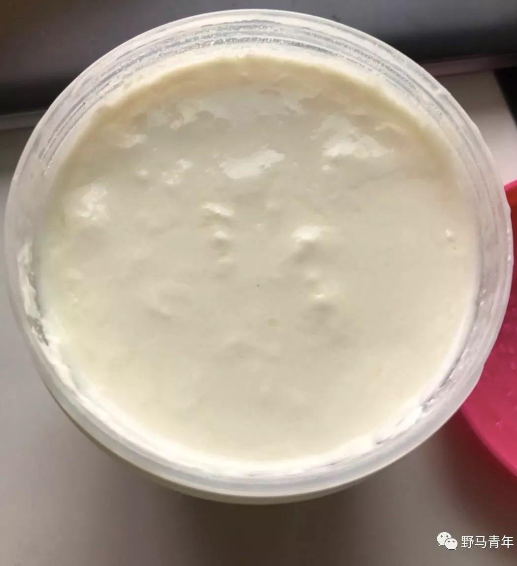 自制酸奶的做法_【图解】自制酸奶怎么做如何做好吃_自制酸奶家常做法大全_毛毛的bigworld_豆果美食