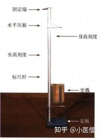 身高与身长 体重测量 知乎