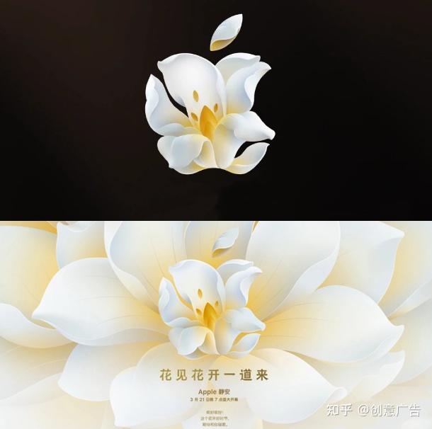 苹果新店开业，“白玉兰”限定logo算什么水平？ - 知乎
