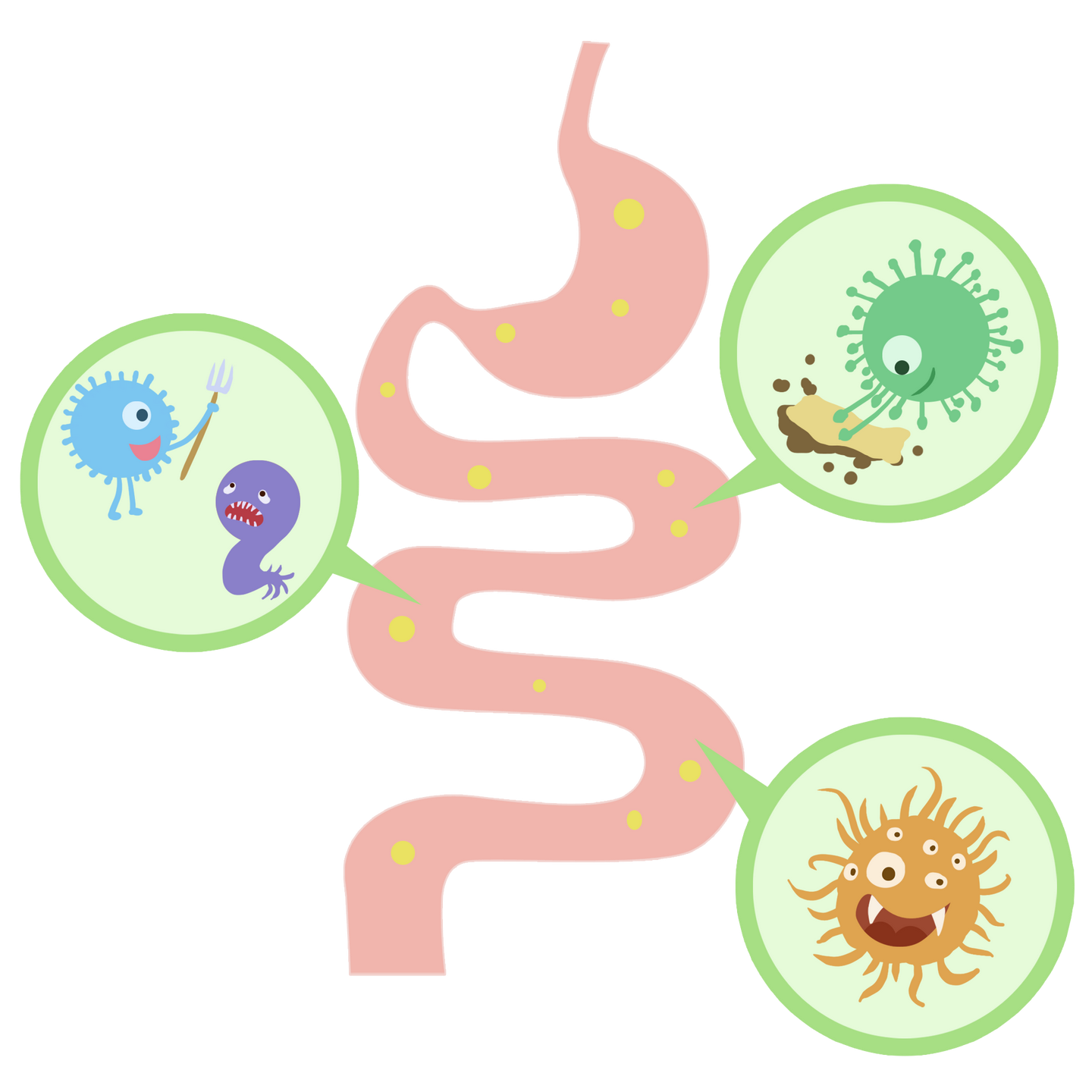 益生菌要起作用活性粘附和定植能力缺一不可