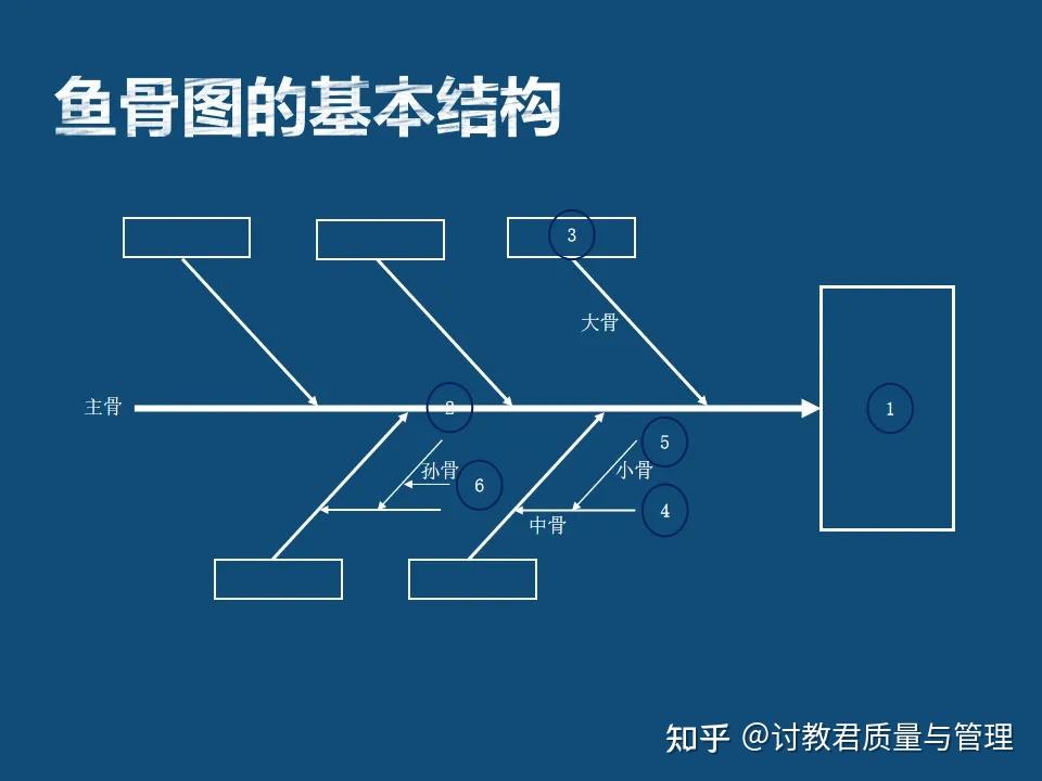 鱼骨图大骨与主骨夹角图片