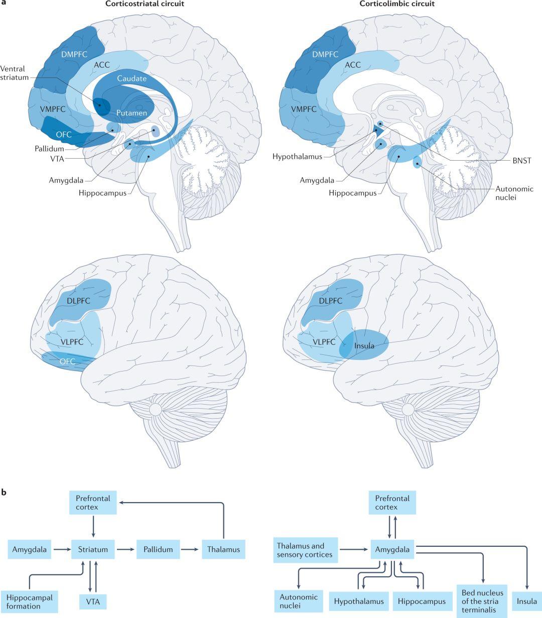 Nature Reviews Neuroscience 最新文献: 如何正确看待成瘾? - 知乎